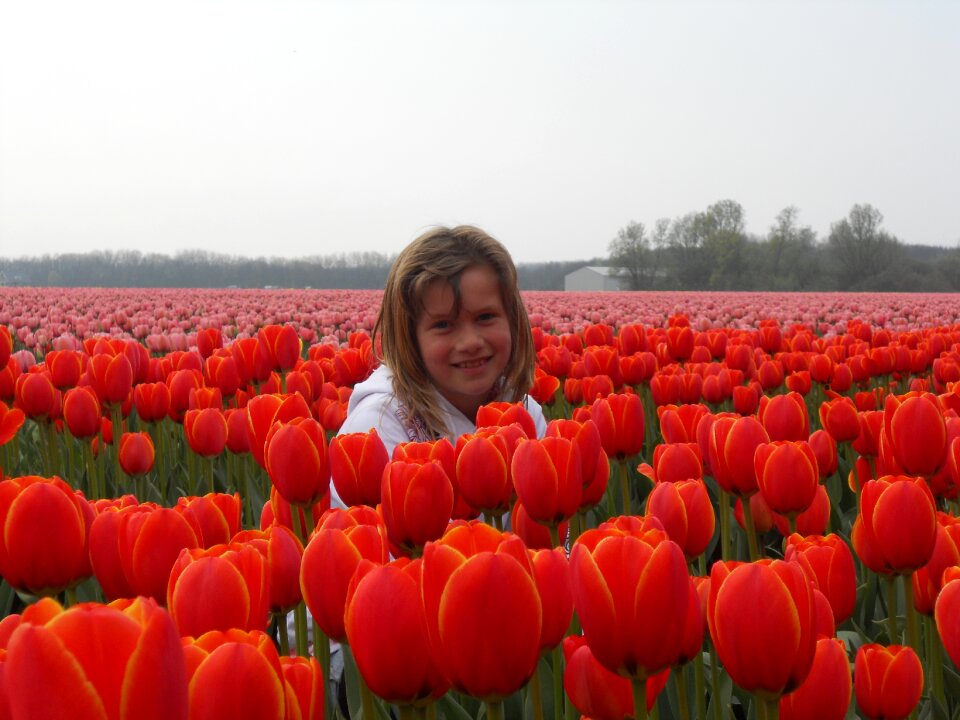 Bulbs orange Free photos