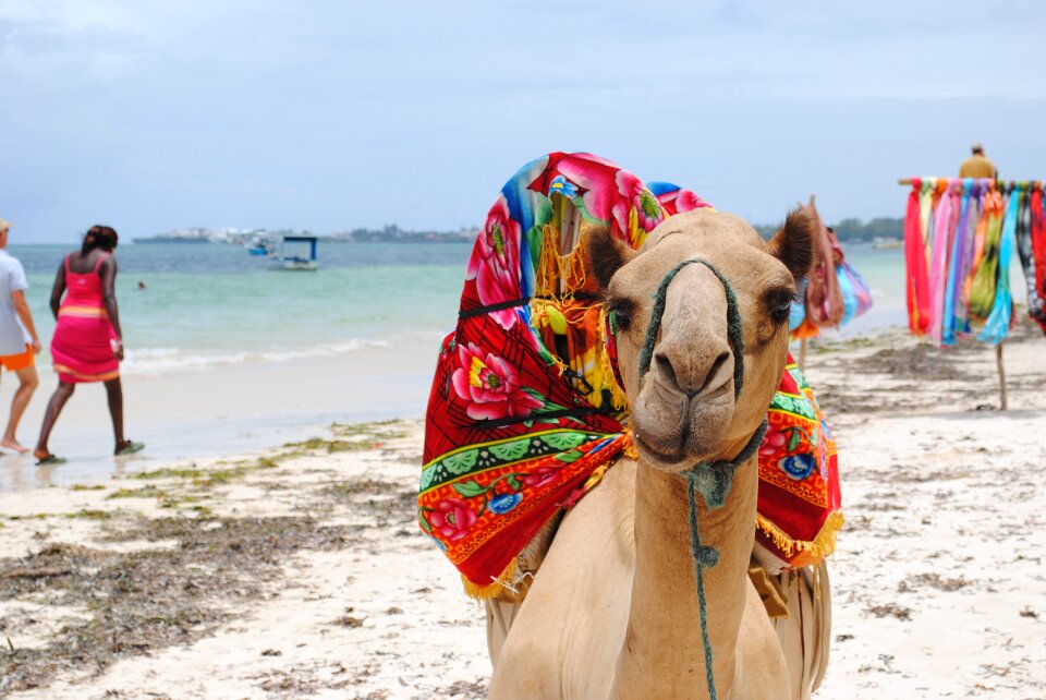 Africa beach sea