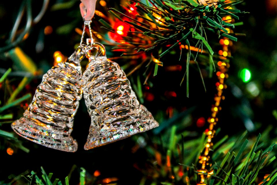 Holiday xmas celebration