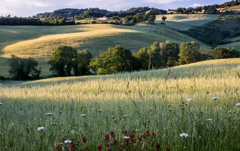 Landscape holiday evening sun