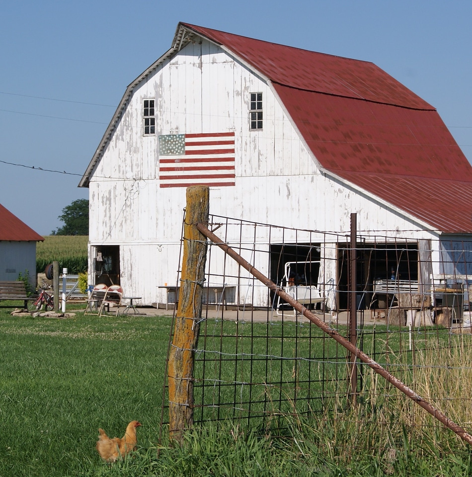 Agriculture farming vintage
