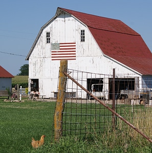 Agriculture farming vintage