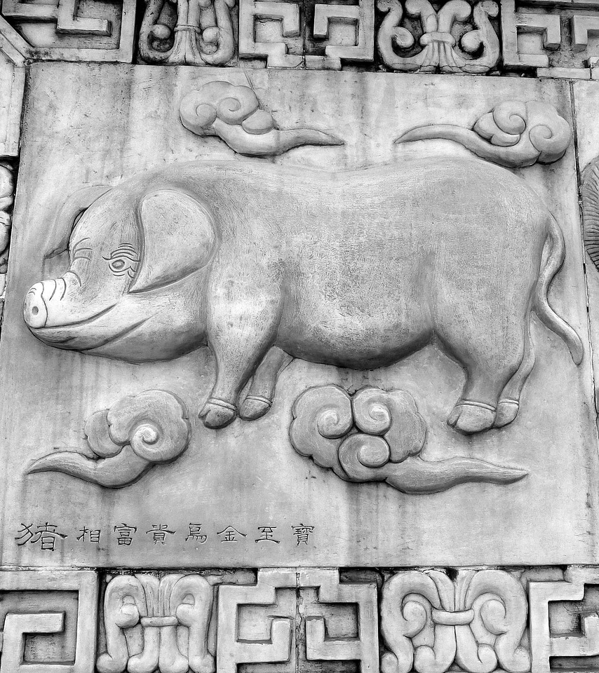 Animals chinese horoscope
