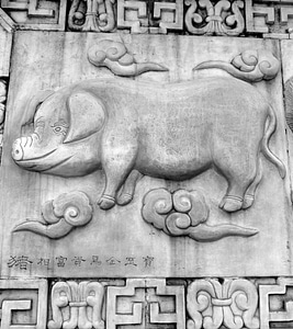 Animals chinese horoscope