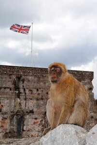 United kingdom andalusia rock