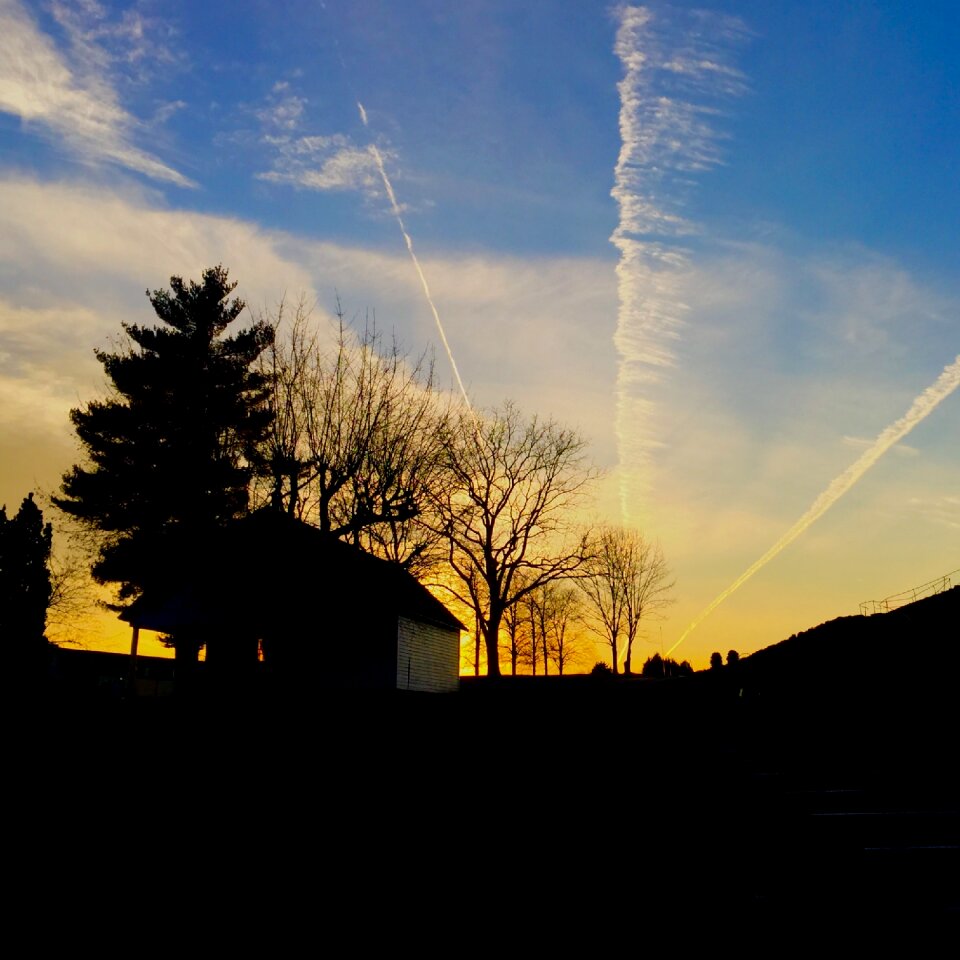 Evening silhouette scene