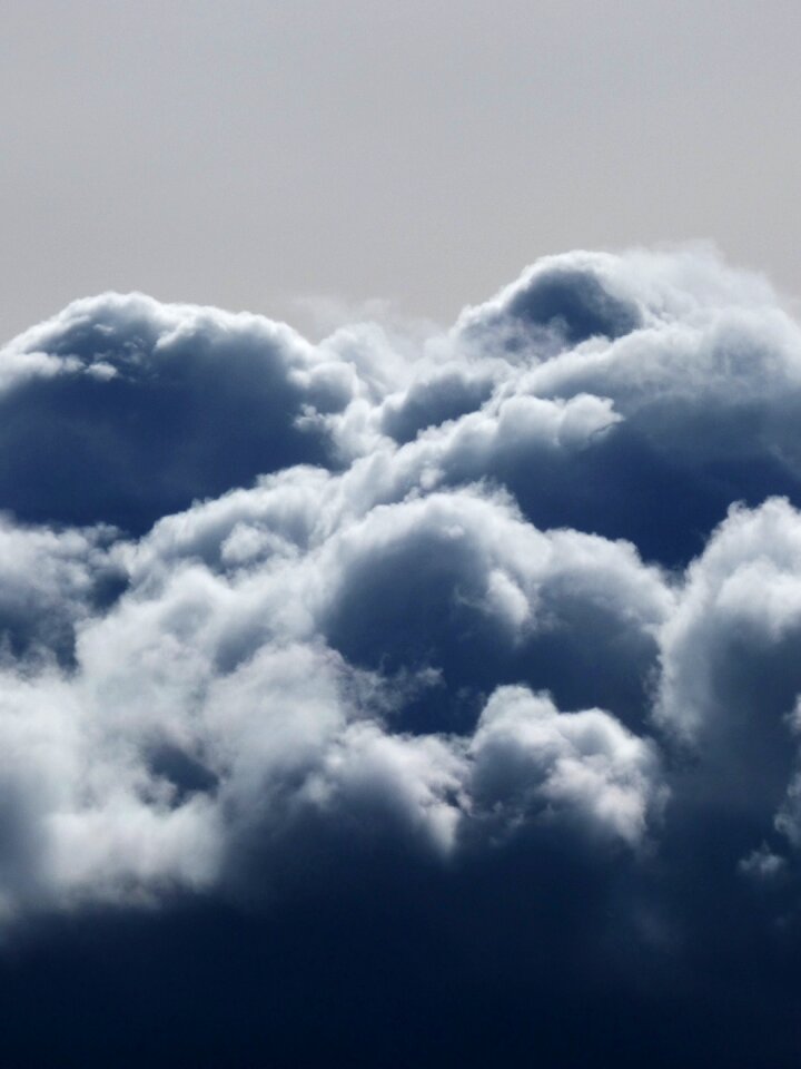 Fern cumulonimbus rain