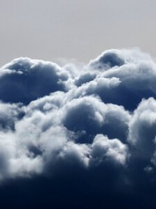 Fern cumulonimbus rain