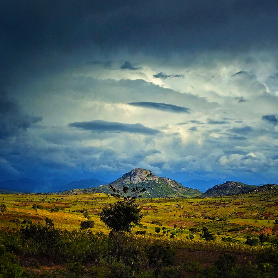 Rural farming dodoma