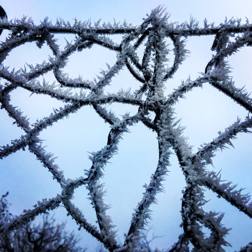 Eiskristalle cold impression