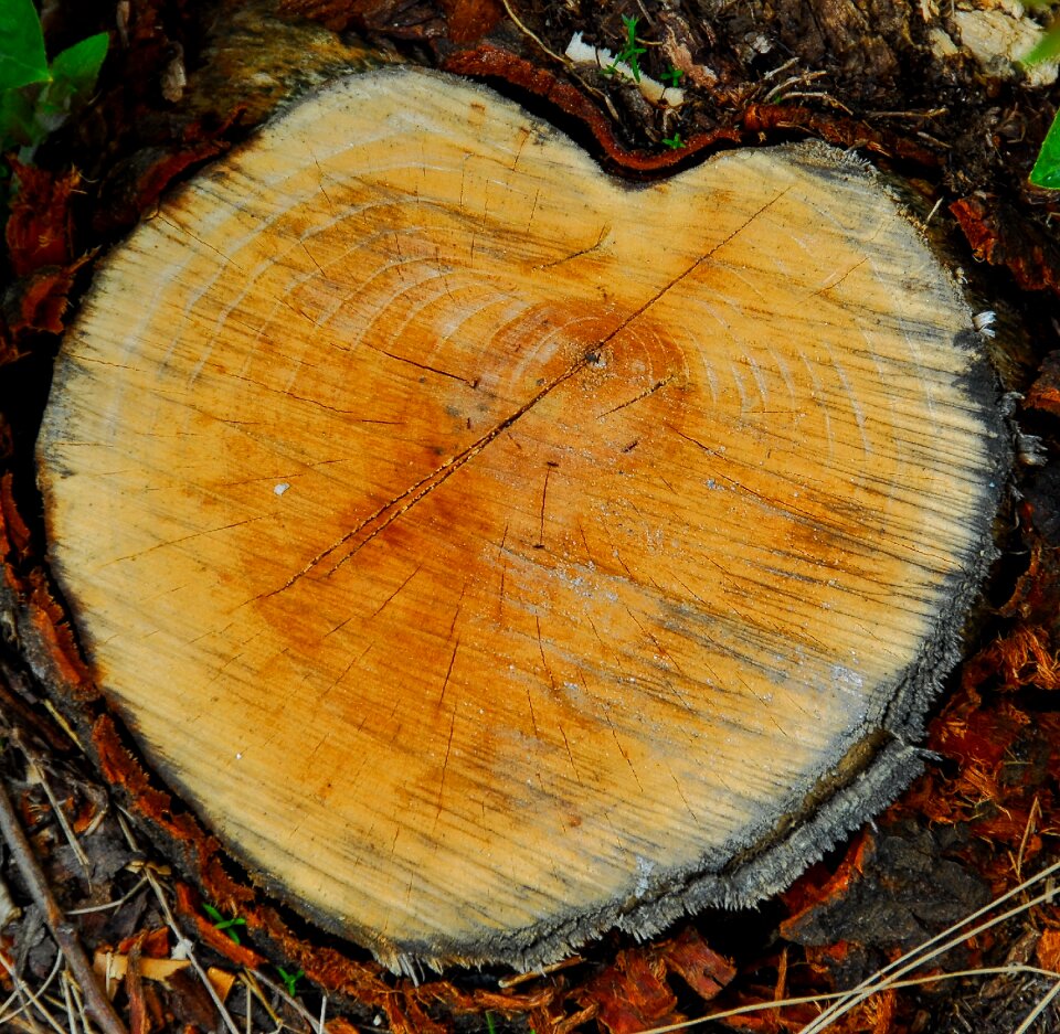 Shape decoration romance