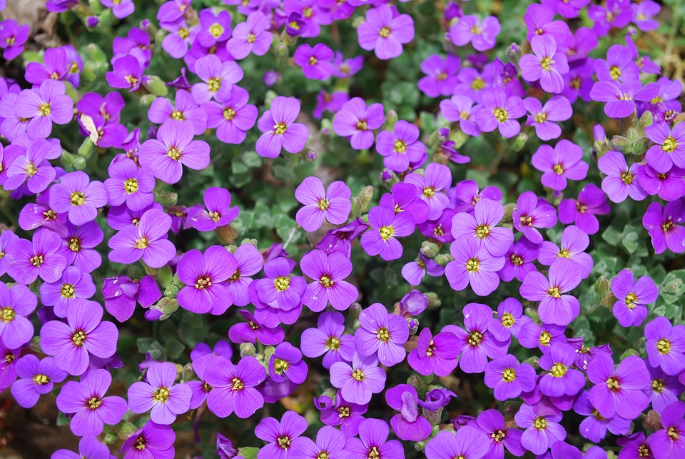 Floral summer natural