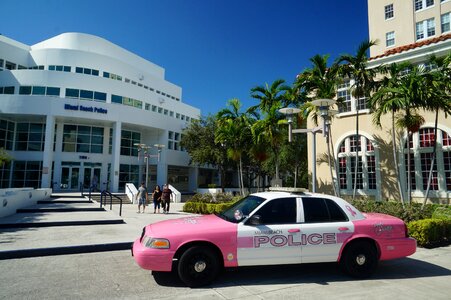 Florida police pink