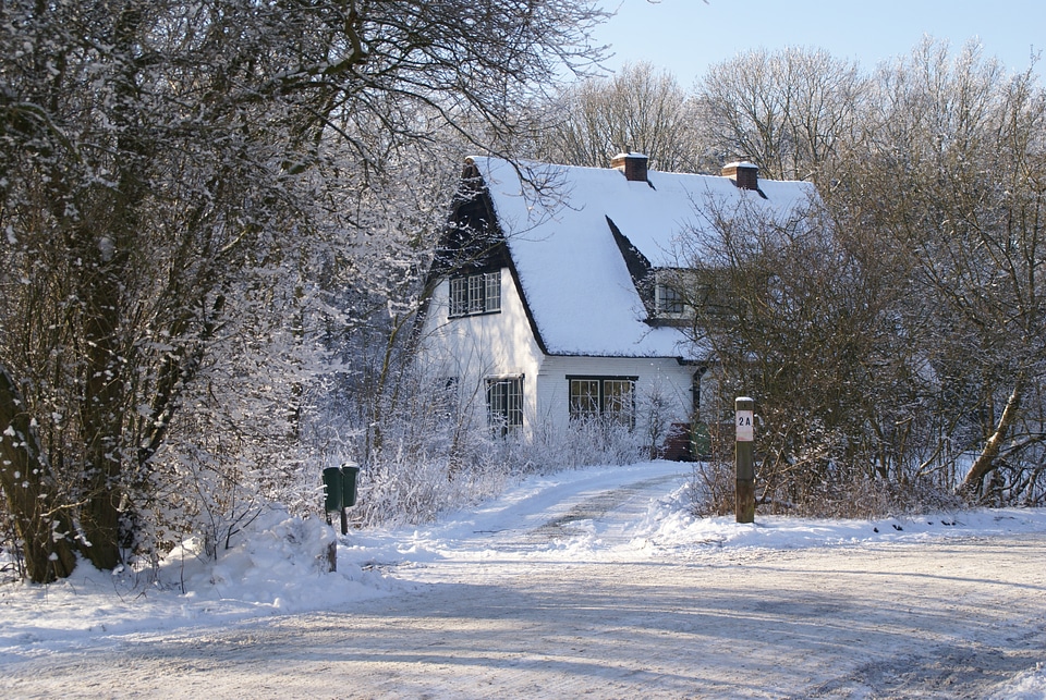 Dune forester house