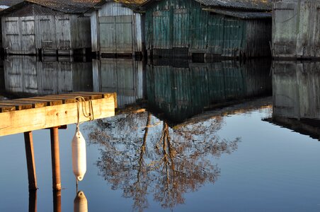Pond wild france