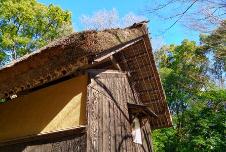 Japan blue sky