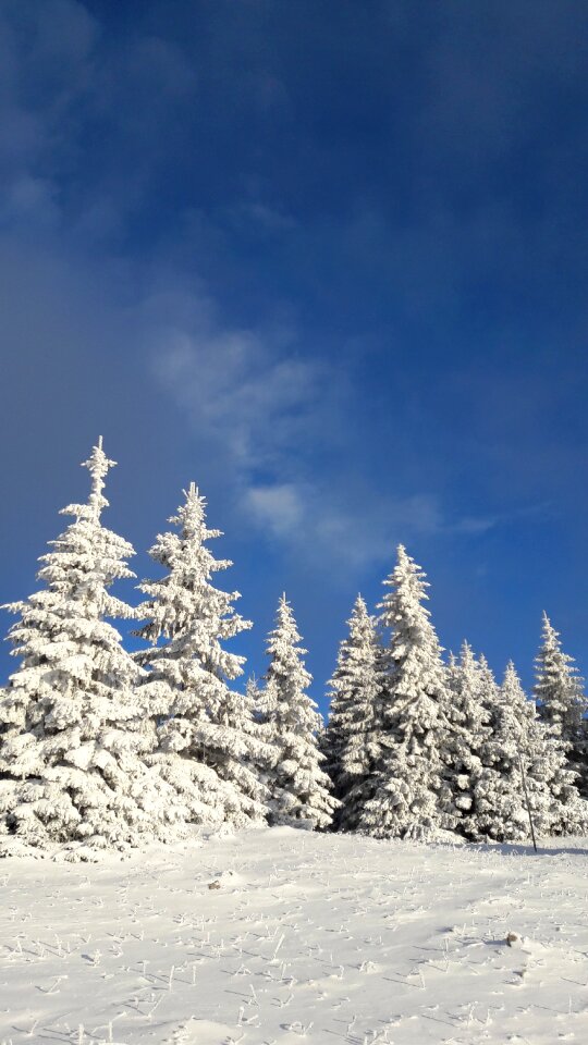 Winter the clouds snow