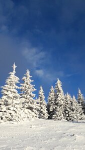 Winter the clouds snow photo