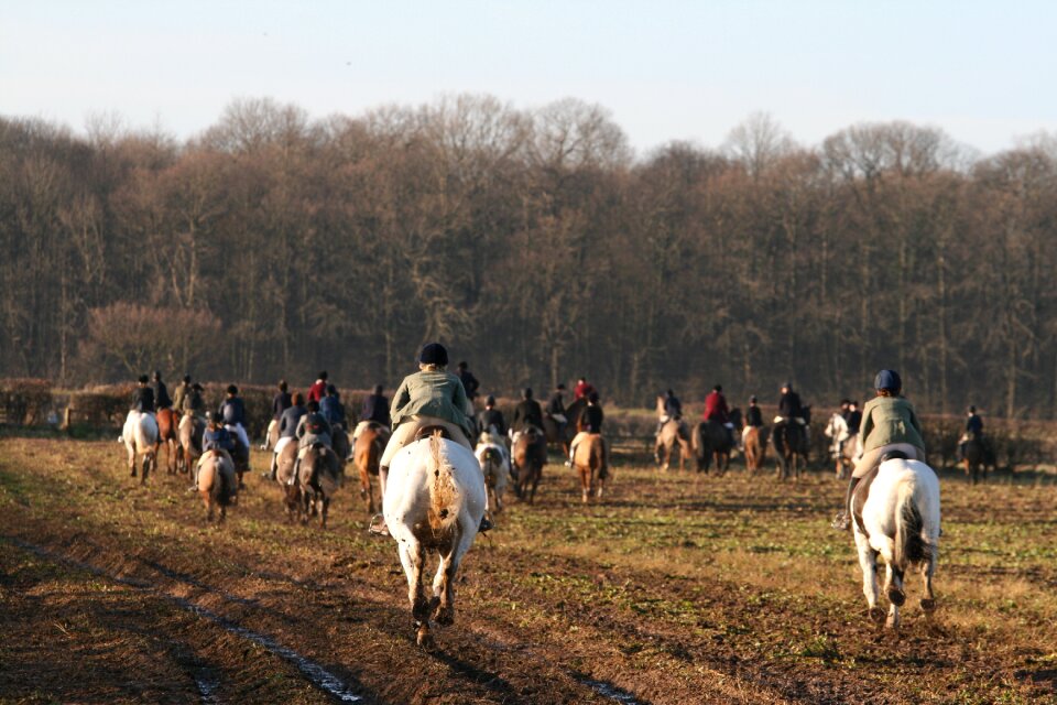 Riding equine horseback