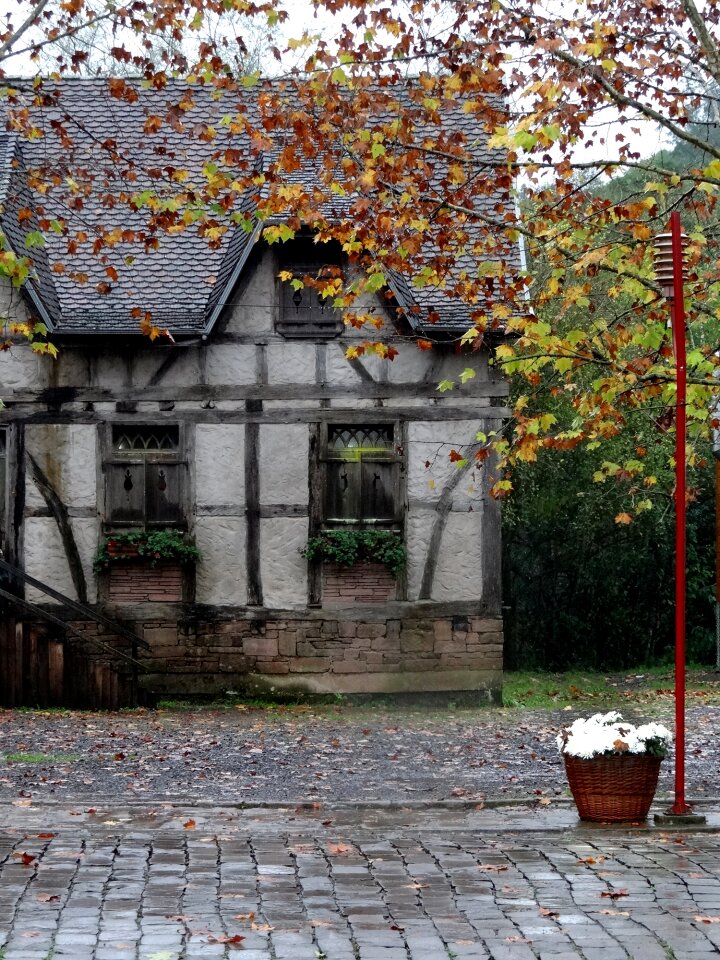 Windows tourism autumn