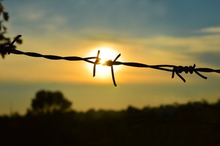 Free rip sun