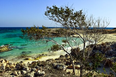 Sea scenery nature photo