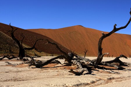 Dunes nature hills