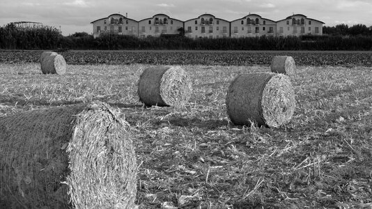 Fields bales round photo