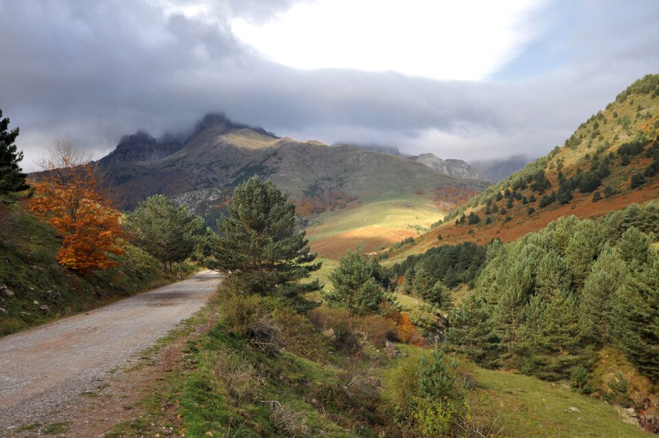 Valley fall road