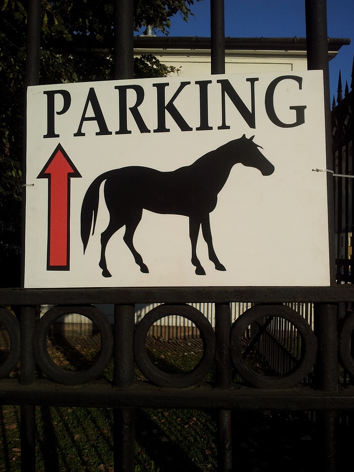 Funny signs gate equestrian