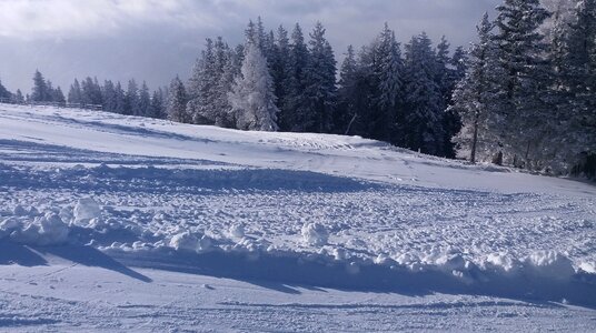 Austria skiing snow photo