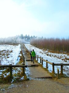 Trap winter forests photo