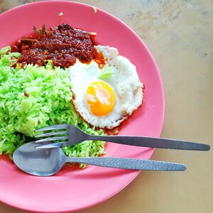 Asian rice green photo