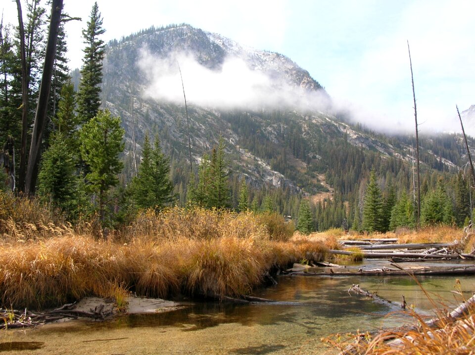 Outdoors nature adventure