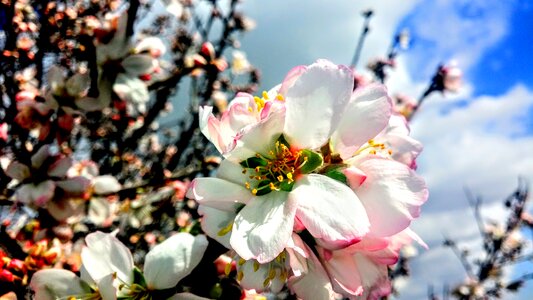 Spring coming soon