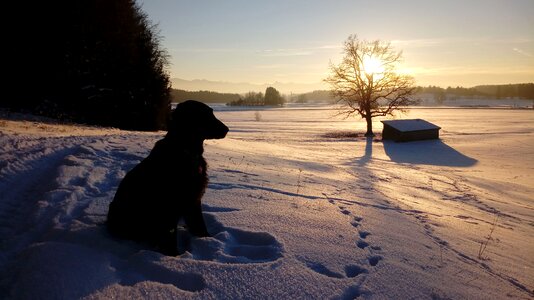 Abendstimmung winter landscape