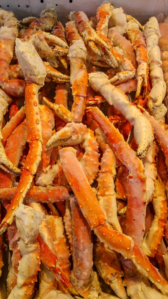Tongs king crab fishing