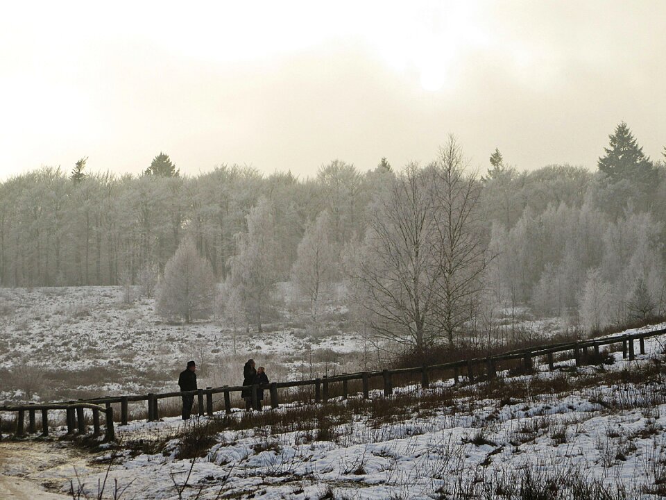 Snowy fog sun photo