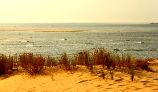 Sand dune atlantic coast dune