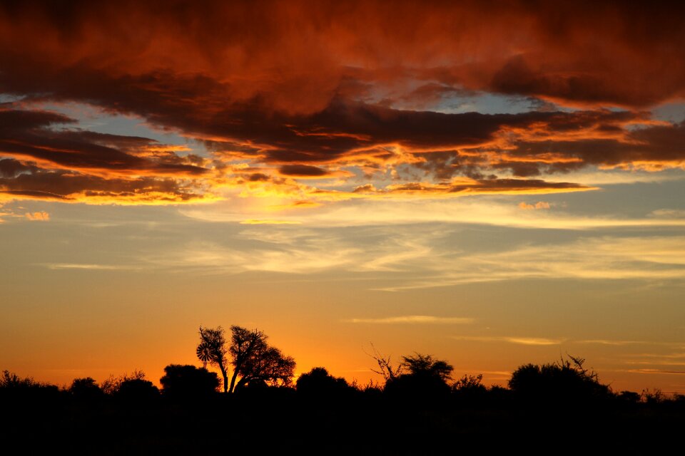 Safari sunrise light