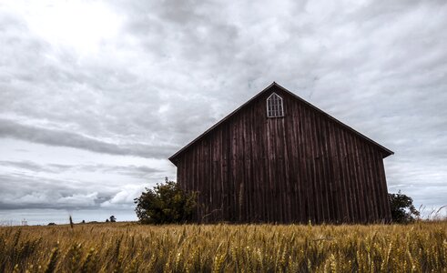 Farm summer sweden