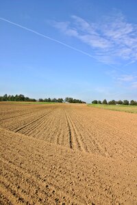 Agriculture nature symmetry