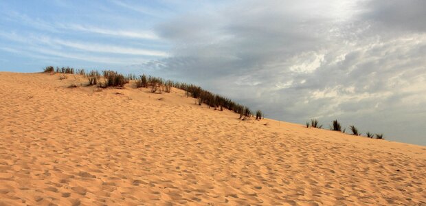 Sand dune atlantic coast dune photo