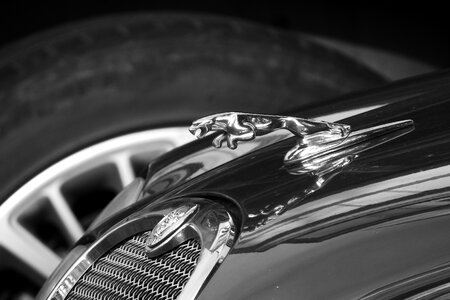 Car brand auto black and white