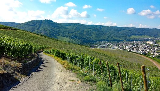 Sachsen germany wine