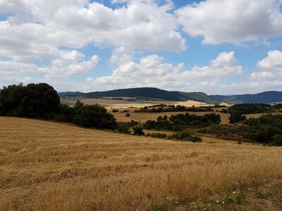 Wheat fields france landscape photo