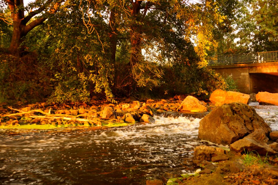 Golden october creek test panel
