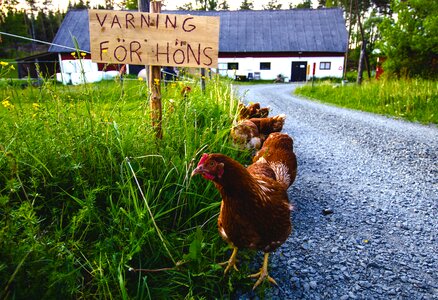 Sweden nature warning