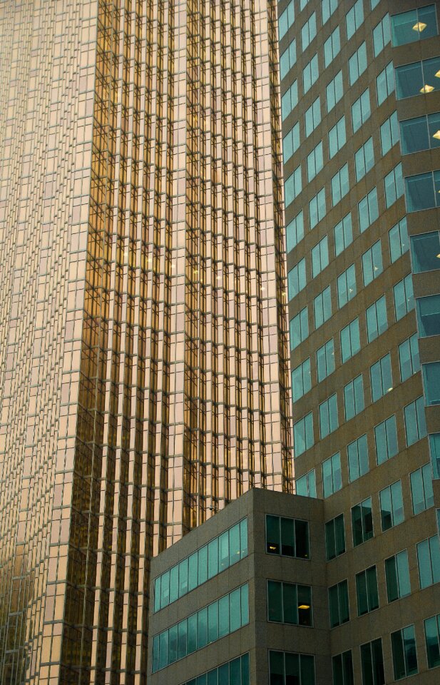 Skyscraper facade vitreous