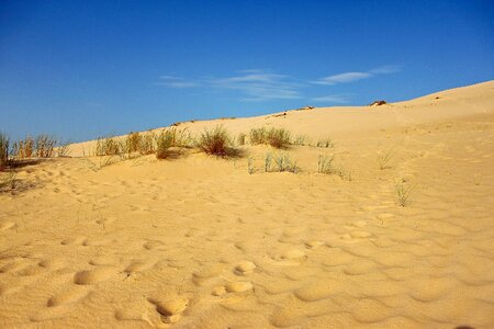 Sand dune sand beach atlantic coast photo